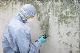 Best Biohazard Mold Removal in Weatherford, OK